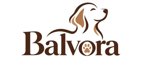 balvora.shop